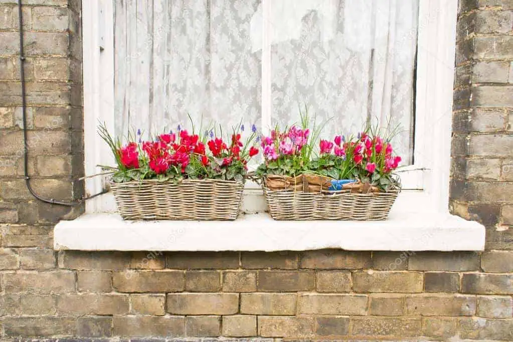 Flower garden ideas for small yards - 1001 Gardens